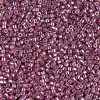 Delica Beads 1.6mm (#1848) - 50g