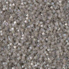 Delica Beads 1.6mm (#1877) - 50g