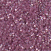 Delica Beads 1.6mm (#1880) - 50g