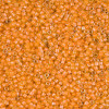 Delica Beads 1.6mm (#2045) - 50g