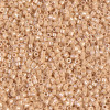 Delica Beads 1.6mm (#205) - 50g
