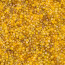 Delica Beads 1.6mm (#2061) - 50g