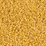 Delica Beads 1.6mm (#2102) - 50g