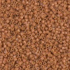 Delica Beads 1.6mm (#2107) - 50g