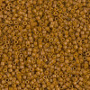 Delica Beads 1.6mm (#2110) - 50g