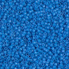 Delica Beads 1.6mm (#2134) - 50g