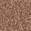 Delica Beads 1.6mm (#2155) - 50g