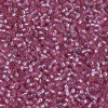 Delica Beads 1.6mm (#2156) - 50g