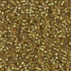 Delica Beads 1.6mm (#2164) - 50g