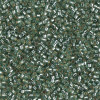 Delica Beads 1.6mm (#2165) - 50g