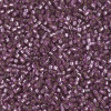 Delica Beads 1.6mm (#2169) - 50g