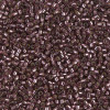 Delica Beads 1.6mm (#2170) - 50g