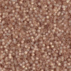 Delica Beads 1.6mm (#2177) - 50g