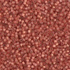 Delica Beads 1.6mm (#2178) - 50g