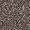 Delica Beads 1.6mm (#2184) - 50g