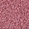 Delica Beads 1.6mm (#2189) - 50g