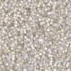 Delica Beads 1.6mm (#221) - 50g