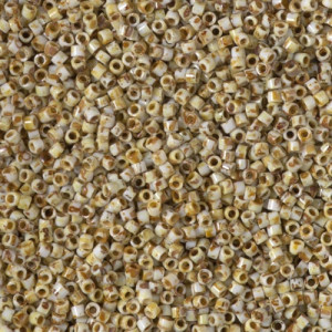 Delica Beads 1.6mm (#2262) - 25g