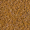 Delica Beads 1.6mm (#2273) - 25g