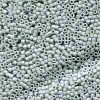 Delica Beads 1.6mm (#2281) - 25g