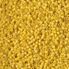 Delica Beads 1.6mm (#2284) - 25g