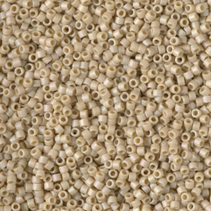 Delica Beads 1.6mm (#2301) - 25g