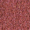 Delica Beads 1.6mm (#2306) - 25g