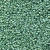 Delica Beads 1.6mm (#2311) - 25g