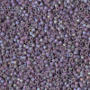 Delica Beads 1.6mm (#2322) - 25g