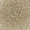 Delica Beads 1.6mm (#2362) - 25g