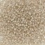 Delica Beads 1.6mm (#2362) - 25g