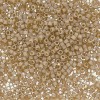 Delica Beads 1.6mm (#2364) - 25g