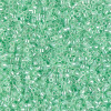 Delica Beads 1.6mm (#237) - 50g
