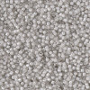 Delica Beads 1.6mm (#2391) - 25g