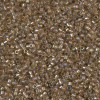 Delica Beads 1.6mm (#2396) - 25g