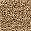 Delica Beads 1.6mm (#2504) - 25g