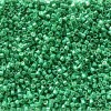 Delica Beads 1.6mm (#2505) - 25g