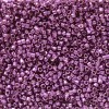 Delica Beads 1.6mm (#2508) - 25g