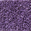 Delica Beads 1.6mm (#2509) - 25g