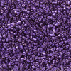 Delica Beads 1.6mm (#2510) - 25g