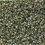 Delica Beads 1.6mm (#2512) - 25g