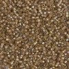 Delica Beads 1.6mm (#288) - 50g