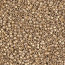 Delica Beads 1.6mm (#334) - 25g