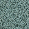 Delica Beads 1.6mm (#374) - 50g