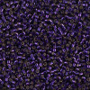 Delica Beads 1.6mm (#609) - 50g
