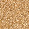 Delica Beads 1.6mm (#621) - 50g