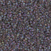 Delica Beads 1.6mm (#865) - 50g
