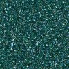 Delica Beads 1.6mm (#919) - 50g