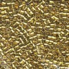 Delica Beads 3mm (#31) - 25g