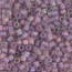 Delica Beads 3mm (#857) - 25g